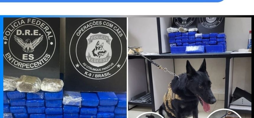 PF prende homem com 30 kg de maconha dentro de casa em Cariacica